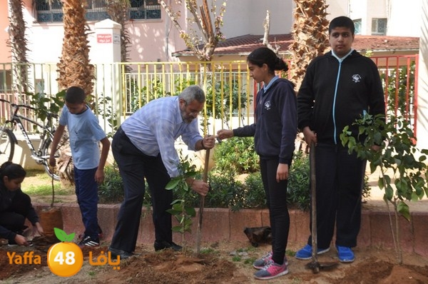 trees shamela 0321 (14).JPG